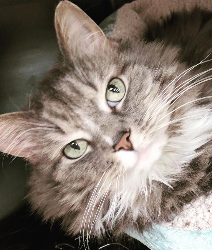 Portrait of Kat